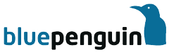 bluepenguin it-services